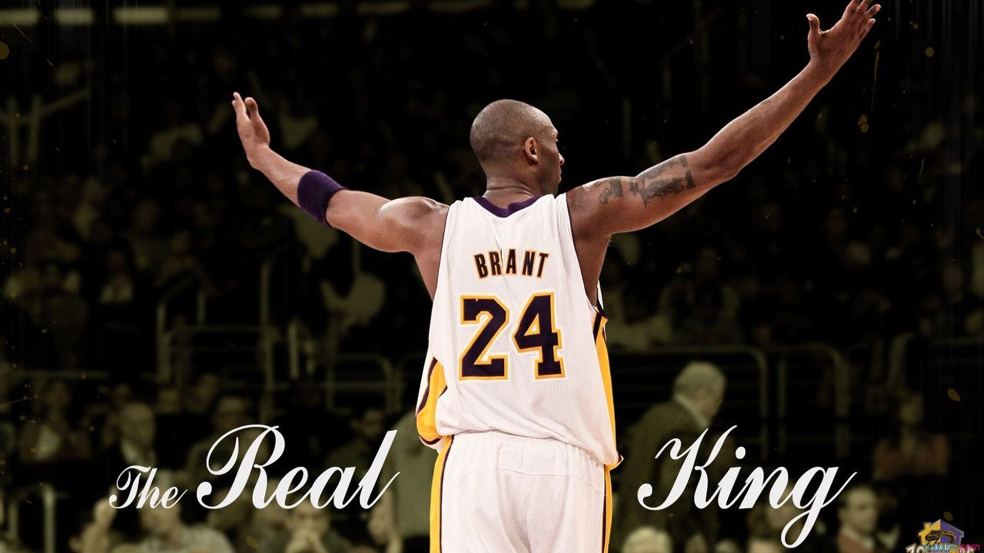 红牛400极限爬坡赛 选手在跳台滑雪坡上用手脚并用爬完400米